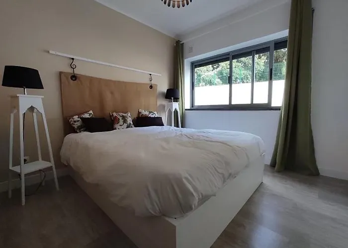 City Apartament 아파트